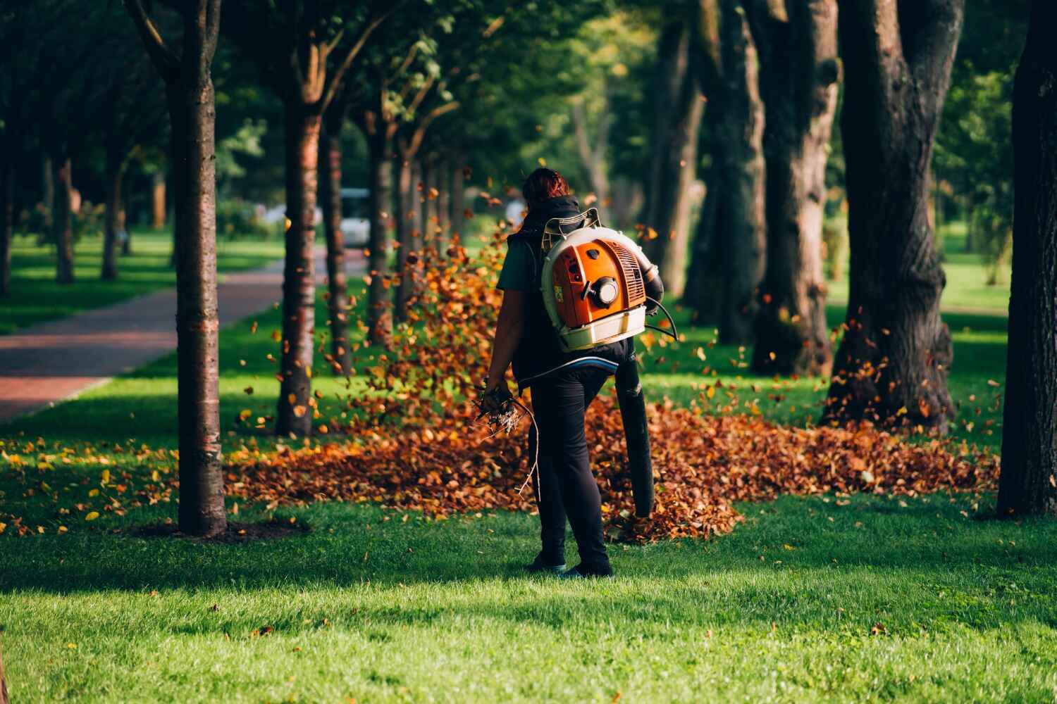 Best Dead Tree Removal  in Stanton, TX